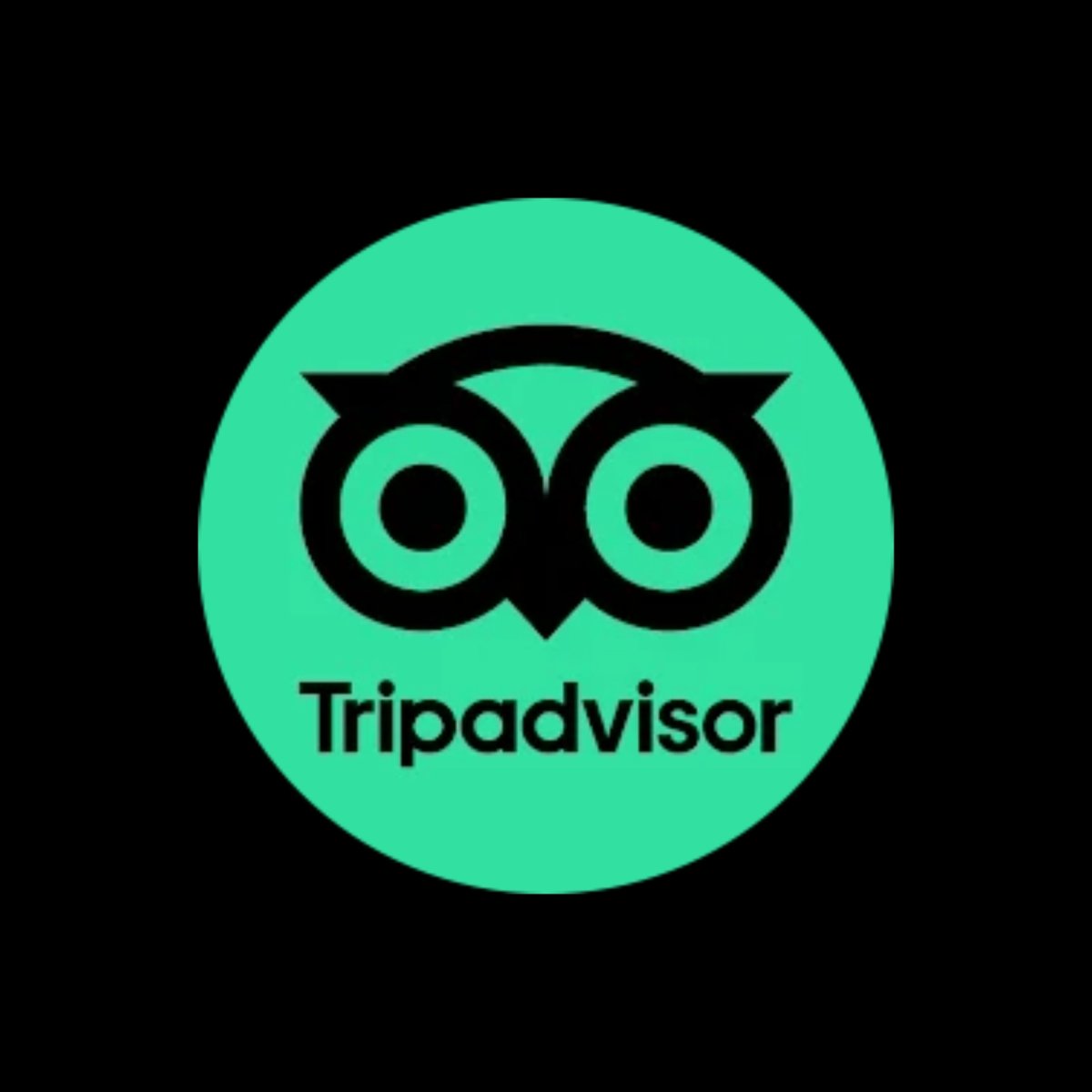 RECENSIONI TRIPADVISOR - camecompany